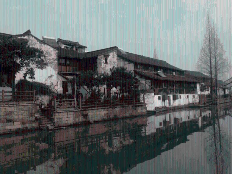 拯救蝙蝠家族